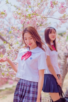 樱花动漫网站官网